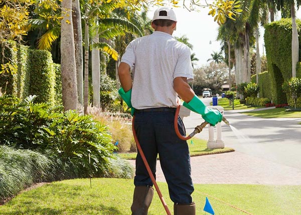 About Fair Oaks CA Pest Control Pros